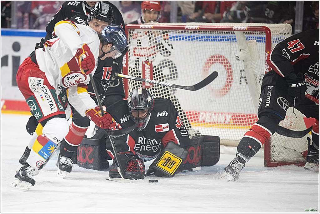 PENNY DEL; Koelner Haie-Duesseldorfer EG ; Koeln, 16.02.2025